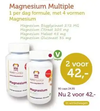 De Rode Pilaren Magnesium multiple aanbieding