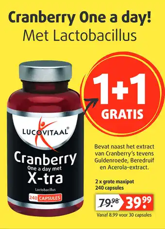 Lucovitaal Cranberry aanbieding