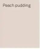 Karwei Peach pudding aanbieding