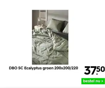 HEMA Dbo sc ecalyptus groen 200x200/220 aanbieding