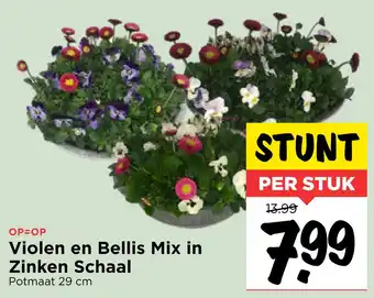 Vomar Voordeelmarkt Violen en Bellis Mix in Zinken Schaal 29 cm aanbieding