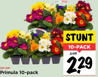 Vomar Voordeelmarkt Primula 10-pack aanbieding