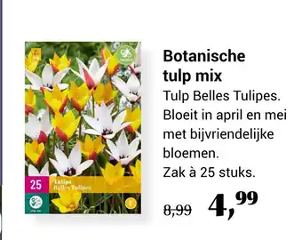 Tuincentrum Van Ee Botanische tulp mix aanbieding