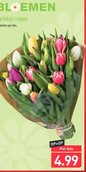 ALDI Harlekijn tulpen aanbieding