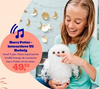 Bol.com Harry Potter interactieve uil hedwig aanbieding