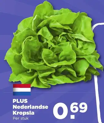 PLUS Nederlandse kropsla aanbieding