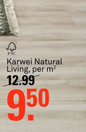 Karwei Karwei Natural Living, per m2 aanbieding