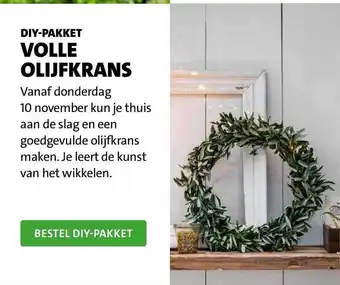 Intratuin Diy-pakket volle olijfkrans aanbieding