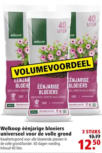 Welkoop Welkoop Eenjarige bloeiers Universeel - Potgrond aanbieding