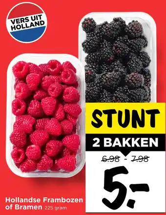 Vomar Voordeelmarkt Hollandse Frambozen aanbieding