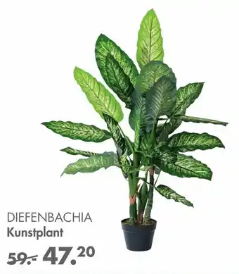 Casa Diefenbachia kunstplant aanbieding