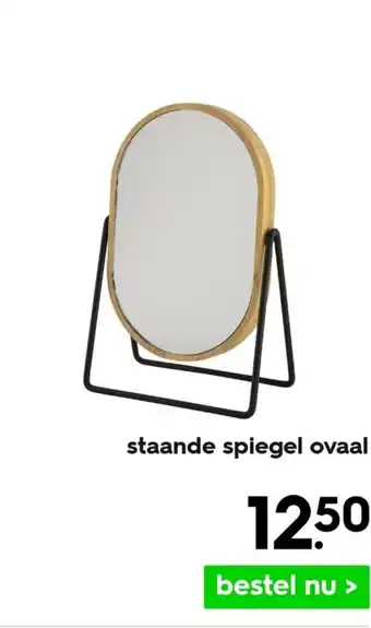 HEMA Staande spiegel ovaal aanbieding