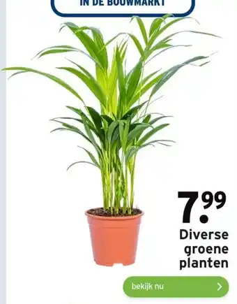 GAMMA Diverse groene planten aanbieding