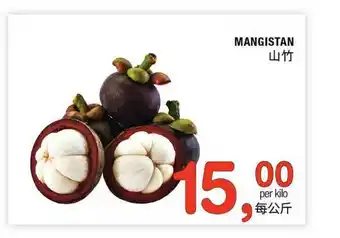 Amazing Oriëntal Mangistan aanbieding