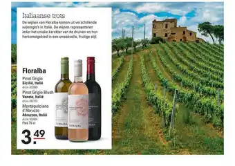 Sligro Floralba Pinot Grigio, Pinot Grigio Blush Of Montepulciano D'Abruzzo aanbieding