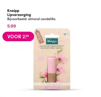 DA Kneipp Lipverzorging aanbieding