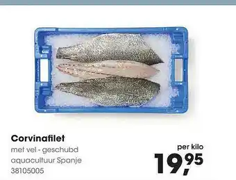 HANOS Corvinafilet aanbieding