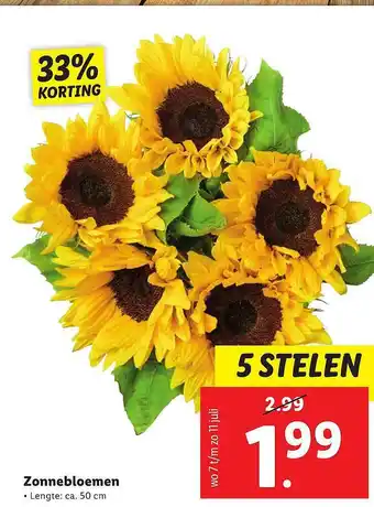 Lidl Zonnebloemen 33% Korting aanbieding