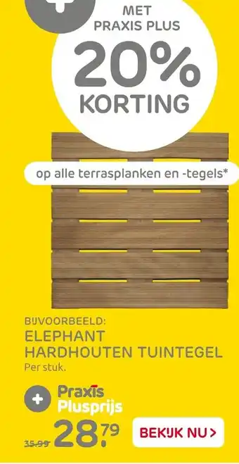 Praxis Elephant Hardhouten tuintegel aanbieding