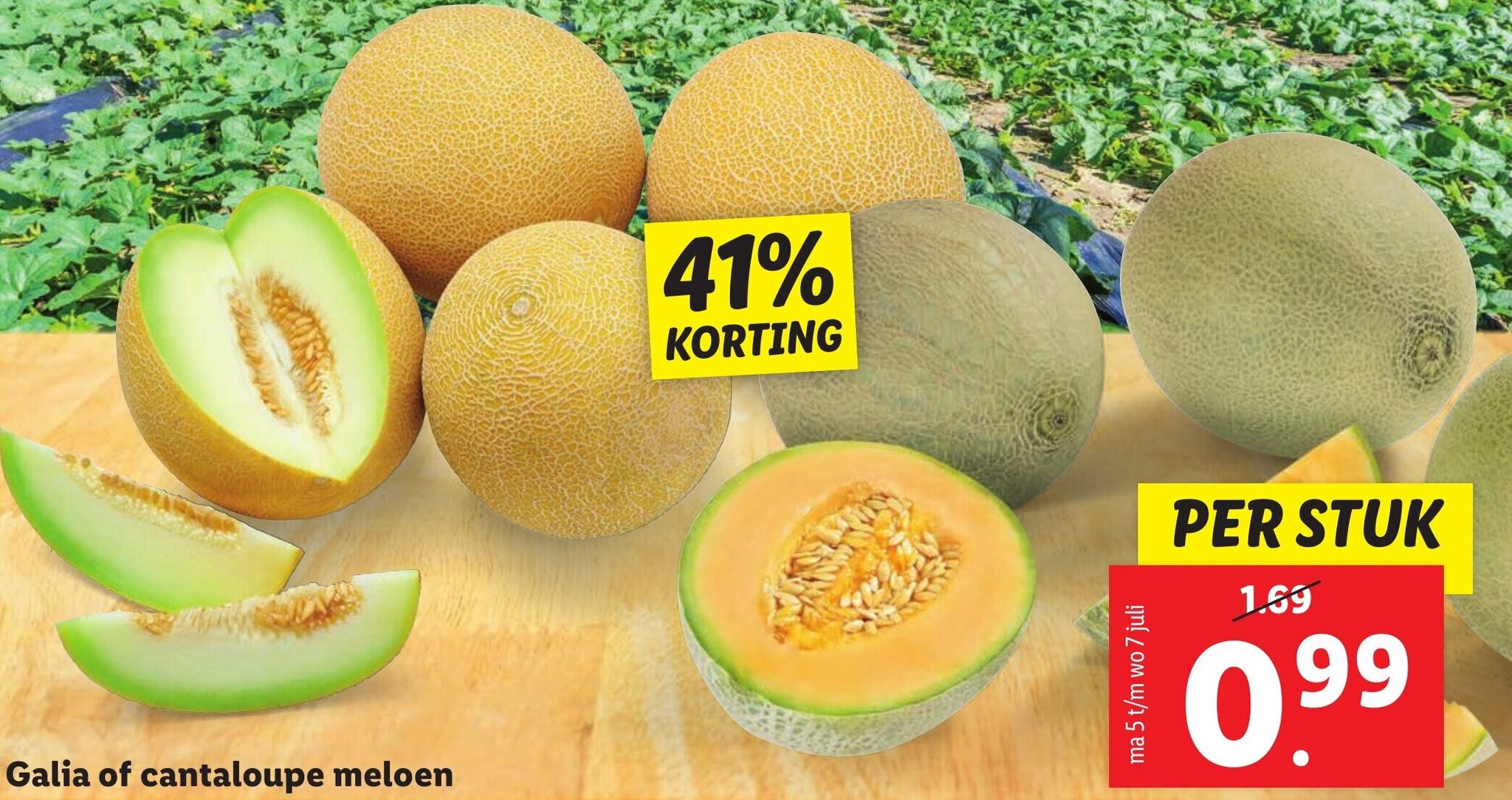 Galia of Cantaloupe meloen aanbieding bij Lidl
