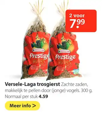 Boerenbond Versele-Laga trosgierst aanbieding