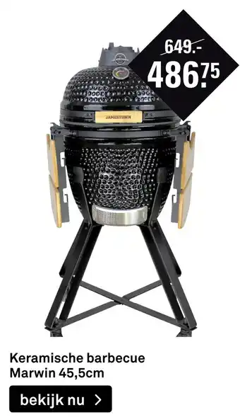 Karwei Keramische barbecue Marwin 45,5cm aanbieding