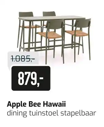 Kees Smit Apple Bee Hawaii aanbieding