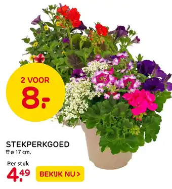 Praxis STEKPERKGOED aanbieding