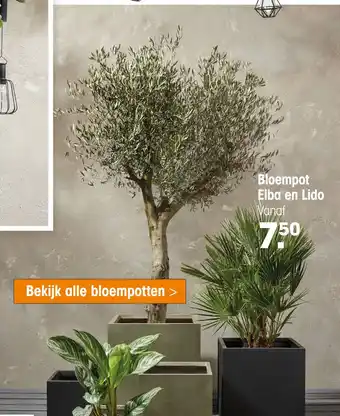 Kwantum Bloempot Elba en Lido LIC aanbieding