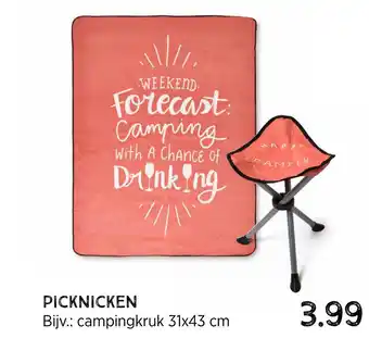 Xenos Picknicken aanbieding