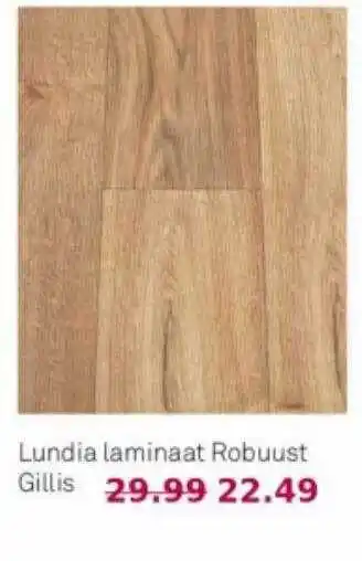 Karwei Lundia laminaat robuust gillis aanbieding