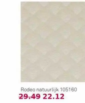 Karwei Rodeo natuurlijk 105160 aanbieding