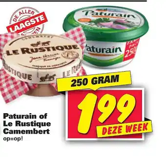 Nettorama Paturain Of Le Rustique Camembert aanbieding