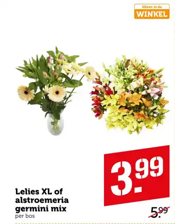 Coop Lelies XL of alstroemeria germini mix por boc aanbieding