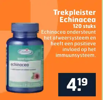 Trekpleister Trekpleister Echinacea aanbieding