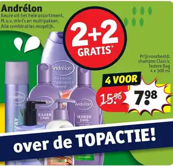 Kruidvat Andrelon assortimemt 4st aanbieding