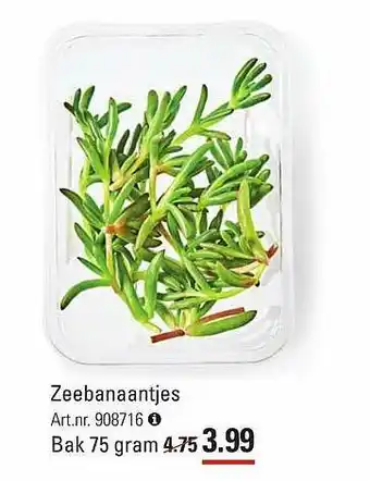 Sligro Zeebanaantjes 75 gram aanbieding