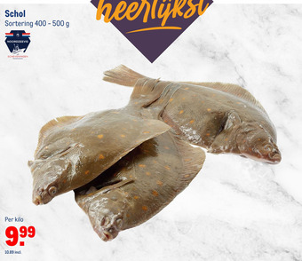 Makro Schol aanbieding