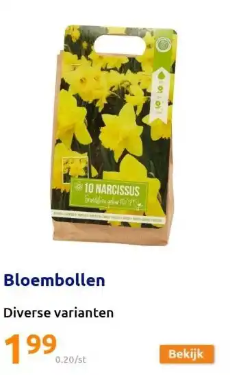 Action Bloembollen aanbieding