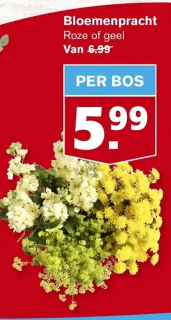 Hoogvliet Bloemenpracht aanbieding