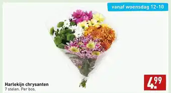 ALDI Harlekijn chrysanten aanbieding