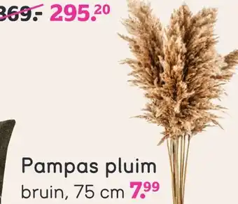 Leen Bakker Pampas pluim 75cm aanbieding