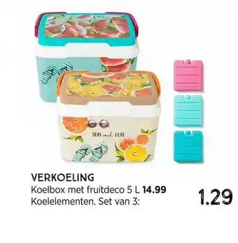 Xenos Verkoeling : koelbox met fruitdeco 5 l of koelelementen aanbieding