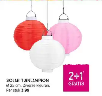 Xenos Solar tuinlampion Ø 25 Cm 2+1 Gratis aanbieding