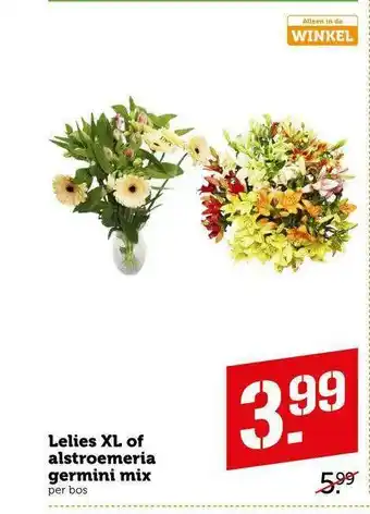 CoopCompact Lelies XL Of Alstroemeria Germini Mix aanbieding