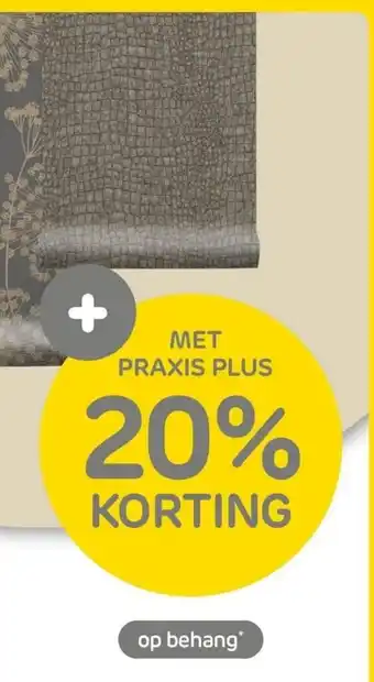 Praxis Met praxis plus aanbieding