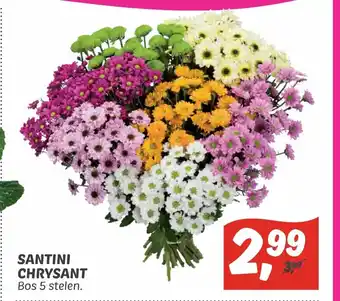 Dekamarkt Santini chrysant aanbieding