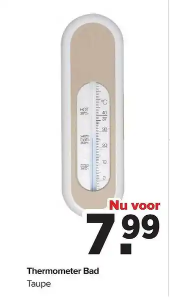 Baby-Dump Thermometer bad taupe aanbieding