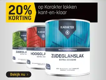 Hubo Op karakter lakken kant-en-klaar aanbieding