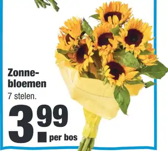 ALDI Zonne- bloemen aanbieding